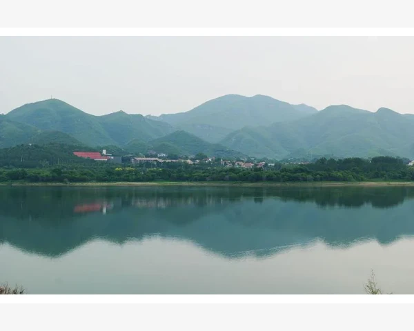冒虚汗背后：揭示脾胃湿热的内在联系